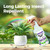 VermExon Peppermint Oil Insect & Pest Control Spray – 32oz Natural Plant-Based Bug Killer for Spiders, Ants, Flies, and Other Insects, Safe for Home & Kitchen Use