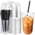 Ziliny 100 Set Clear Plastic Cups with Lids and Straws, Disposable Iced Coffee PET Cups for Drinking Cold Beverage Juice Parfait Smoothie Milkshake Coffee Shops Party Supplies (18 oz)