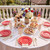 NOCCUR 175PCS Red Plastic Plates with Gold Disposable Silverware - Include 50 Red Gold Plastic Plates,25 Knives,25 Forks,25 Spoons,25 Cups and 25 Napkins - Ideal for Party/Independence Day/Wedding