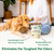 Good Natured Brand | Carpet Deodorizer & Freshener Powder | 31 oz Pet Odor Eliminator for Strong Odor & Pet Urine | Fresh Natural Cocoa Cashmere Scent | Safe for Homes with Pets
