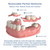 Custom Partial Dentures Removable Portable Dental Flipper Tooth for Women & Men Miss Teeth (1 Tooth)