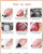 SEISSO 12 Colors Nail Stamping Polish Gels+5Pcs Stamp Print Templates+1 Peel Off Nail Tape Stamp Latex+1 Stamper with Scraper, Stamping Nail Polish Art Set Manicure Gift Collection
