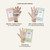 VOESH Collagen Gloves, Vegan Hand Masks, Variety 5 Pack, Moisturizing Hand Mask, Lotion Gloves, Hydrating Gloves, Hand Care, Spa Manicure Gloves, Dry Hand Treatment