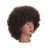 Traininghead 100% Real Hair Mannequin Head Training Head Cosmetology Doll Head Manikin Practice Head Hairdresser with Free Clamp Holder Female (10 inches afro hair C)