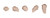jane iredale PurePressed Base Refill, Mineral Pressed Powder with SPF, Matte Foundation, Vegan, Clean, Cruelty-Free, Suntan, 0.35 oz
