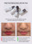 JUNG SAEM MOOL Essential Mool Micro Fitting Mist | Micro-Fine Setting Spray for Makeup & Hydrating Primer for Face with Thermal Spring Water, Long-Lasting Fix & Dewy Finish, Korean Makeup (4.06 Fl Oz)