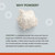 FODZYME® On-The-Go Digestive Enzymes for Gut Health, Relief for Bloating, Gas, Constipation, Diarrhea, Abdominal Pain, Low FODMAP, 30 Dose