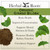 Herbal Roots Organic Ginkgo Biloba Made with Pure Organic Ginkgo Leaf and Extract - 60 Vegan Capsules