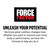 Force Factor L-Arginine, Nitric Oxide Supplement with BioPerine to Help Build Muscle & Support Stronger Blood Flow, Circulation, Nutrient Delivery, & Pumps, L-Arginine 3000mg, 450 Capsules (Pack of 3)
