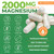 Forest Leaf Magnesium L-Threonate Magtein Capsules - 2000mg Magnesium Threonate Supplement Supports Cognitive Function, Focus, Brain, Deep Calm and Sleep for Men & Women | 90 Powder Veg Caps