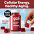 Goli World’s First Renew NAD+, 60 Count Each (2 Pack, 120 Total) – Nicotinamide Riboside (NR) – Cellular Energy & Healthy Aging Support – Vegan, Non-GMO, Gelatin-Free Liquid-Center Gummies