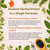 Micro Ingredients Oil of Oregano Softgels, 300 Count | 2 in 1 Formulated with Black Seed Oil | 4X Strength Carvacrol & Thymoquinone | Plant Based, Non-GMO