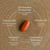 New Chapter One Daily Every Man's Multivitamin 55+ - Offers Eyesight, Immune System & Cellular Energy Support* - Contains Astaxanthin, Saw Palmetto & More - Gluten Free & Vegetarian - 72 Tablets