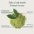 Primal Harvest Super Greens Powder, 30 Servings w/+50 Greens Superfood Chlorella, Probiotics, Green Tea, Wheatgrass, Kale, Turmeric for Energy,Primal Greens