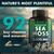 Sea Moss Capsules - Irish Sea Moss Advanced with Burdock Root, Bladderwrack & Muira Puama for Immunity, Gut, & Energy - Superfood Sea Moss Supplements w/Raw Sea Moss Powder (2 Pack)