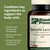 Standard Process Calcium Lactate Bone & Immune Health Dietary Support - Vegan, Gluten-Free, Non-Dairy, Non-Soy & Non-Grain - Bone, Joint & Health Support - 180 Tablets