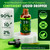 MAJU Oregano Oil Drops - Potent 90%+ Carvacrol (2 fl Oz) Wild Mediterranean Essential Oil of Oregano Liquid, Aceite de Oregano, Immune and Seasonal Support