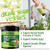 NATURELO Raw Greens Superfood Powder 480 Grams, Mixed Berry - Supports Energy, Immunity and Detox - Includes Spirulina, Wheat Grass and Organic Greens for Whole Food Nutrition
