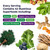 Paradise Herbs, ORAC Energy Greens Powder, Antioxidant Power of 24 Servings of Fruits & Vegetables in 1 Scoop, 120 Servings