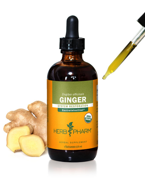 Herb Pharm Ginger Liquid Extract: Organic Supplement for Digestion, Occasional Nausea Support, Fast-Absorbing Ginger Liquid, Sugar-Free Organic Digestive Support Tincture, Up to ~12 Week Supply, 4 oz*