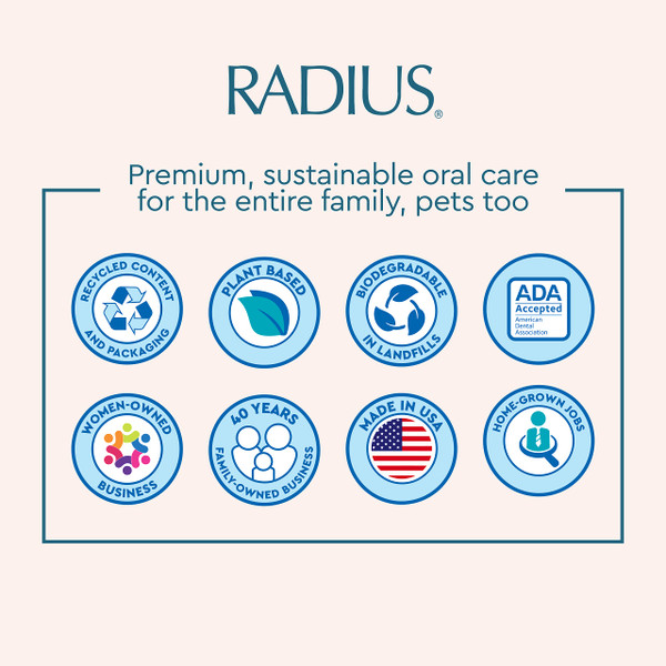 RADIUS Big Brush with Replaceable Head BPA Free & ADA Accepted Toothbrush Designed to Improve Gum Health & Reduce Gum Issues - Right Hand - Assorted - Pack of 6