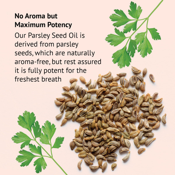 Botanic Choice Parsley Seed Oil-for Bad Breath from Odor-Causing Foods-Odor Neutralizer from Within-Breath Freshener gels-60 Softgels - 2 Pack