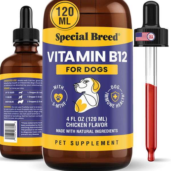 Special Breed Liquid Vitamin B12 for Dogs – Methylcobalamin and 5-MTHF – Boosts Energy, Appetite, Mood & Immune System Support, Easy-to-Use Dropper - Chicken Flavor, 4 fl oz
