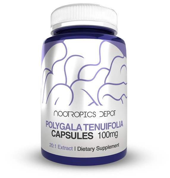 Nootropics Depot Polygala tenuifolia Capsules | 100mg | 90 Count | 20:1 Extract | Yuan Zhi | Promotes Cognitive Function, Learning and Memory | Supports Healthy Stress Levels | Adaptogen Supplement