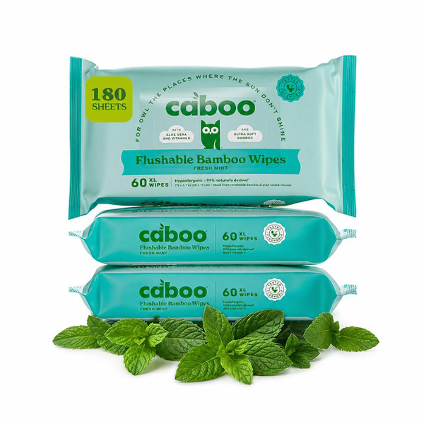 Caboo Tree Free Mint Flushable Wipes, Septic Safe, 180 Wipes