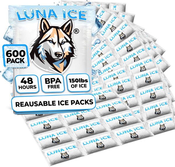 Dry Ice Packs for Shipping - Long Lasting ice Packs - 24+ Hour Freeze Power - BPA Free - 600 Pack Bulk 150 lb – Hielo Seco - Reusable Gel Bricks for Food