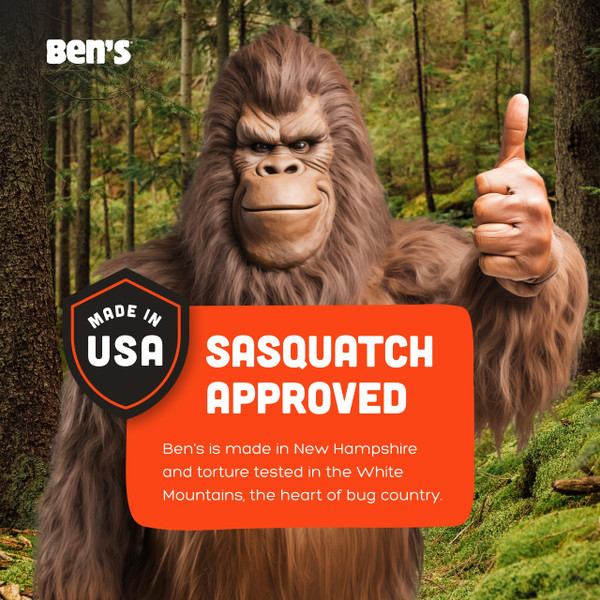 Ben's Tick & Insect Repellent Wipes - 30% DEET for Mosquitoes, Ticks & More - Up to 7 Hours of Protection - Alcohol- & Fragrance-Free - 12 Wipes (4 Pack)