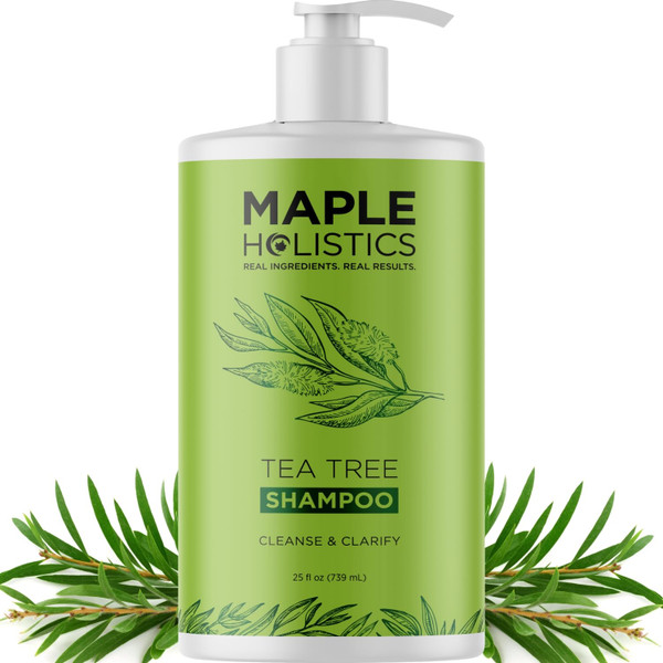 Maple Holistics Tea Tree Oil Shampoo Sulfate Free - Deep Cleansing Vegan Tea Tree Shampoo for Oily Hair and Scalp - Daily for Build up with Rosemary Essential Oil for All Hair Types 25 Fl Oz