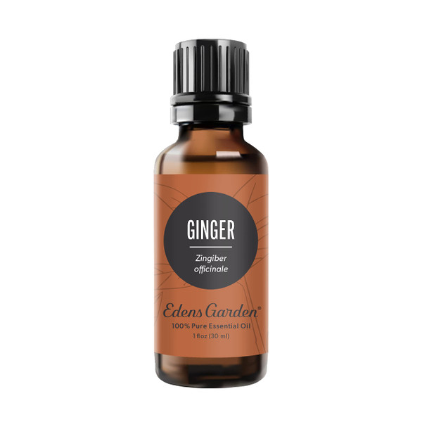 Edens Garden Ginger Essential Oil- 100% Pure Premium Grade, Undiluted, Natural, Therapeutic, Aromatherapy, The Best for Diffuser, Skin, Candle, Kid Safe 30 ml (1 fl oz)