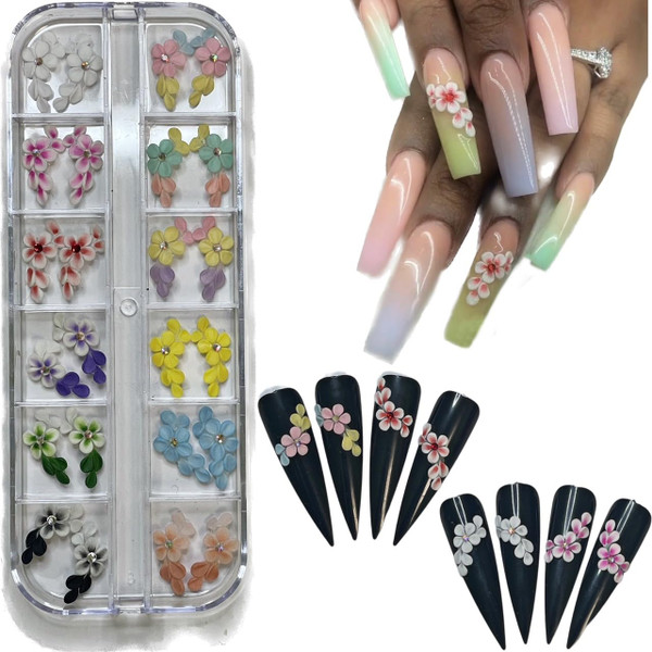 HaFLoNa- Set 24Pcs Apricot Blossom - Enhance Your Artistic Projects with Handmade 3D Acrylic Flowers for Nails - Short & Medium Size Set 3D Flowers for Nails Designs Nail (Apricot Blossom)