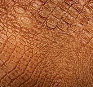 JJ Wild CROC Mandarin Vinyl 56" JJ Wild CROC Mandarin Vinyl 56"