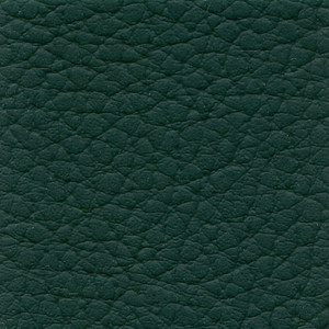 XTREME PROMO Forest Green Vinyl 54" - Sold by the CONTINUOUS YARD!