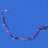 HP RG5-6829 Cable, Pickup Unit