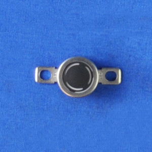 RICOH AW110111 Thermostat, Middle