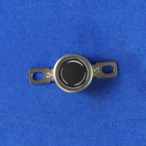 RICOH AW110112 Thermostat, Rear, Fuser