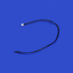 RICOH AW10 0142 Thermistor, Main