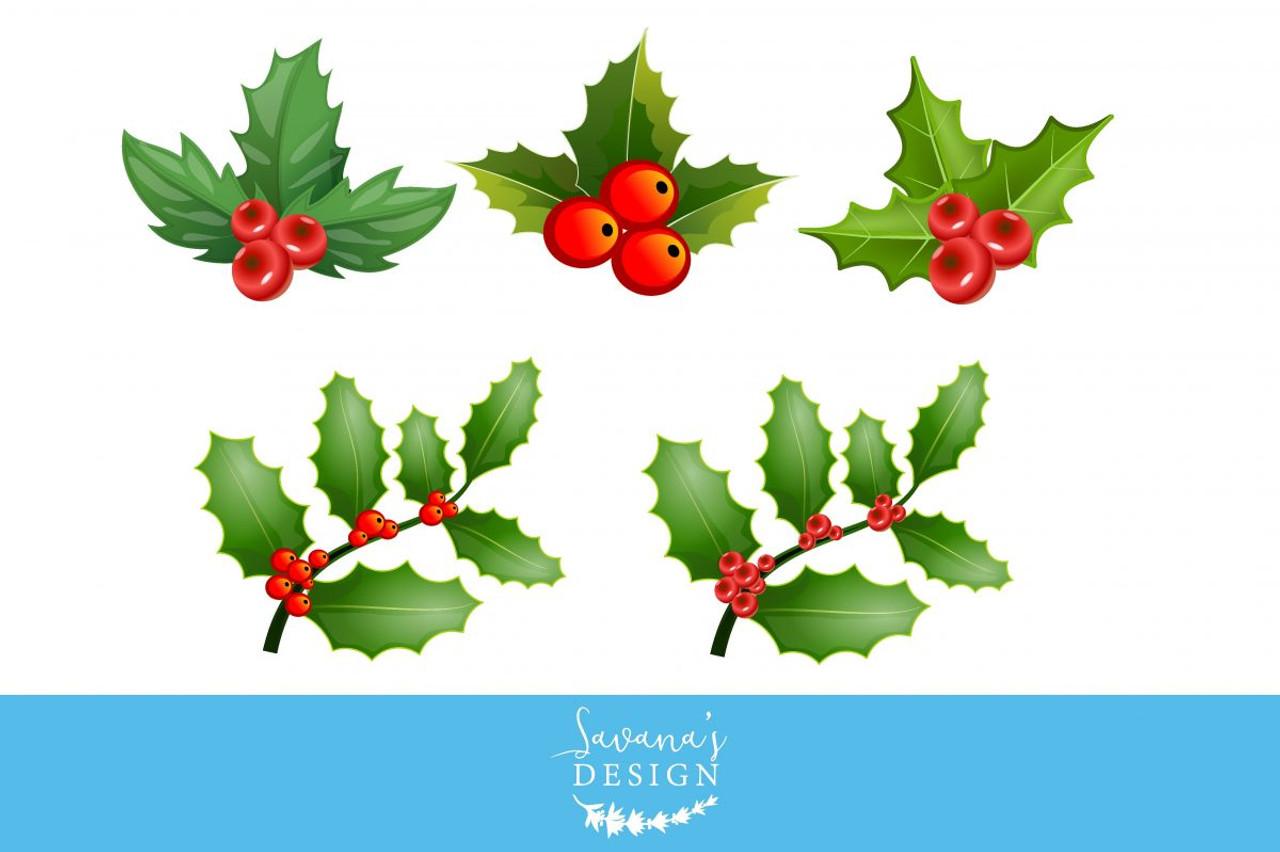 Christmas Holly Pictures 1 2 - Holly With Berries, png