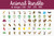 Animal SVG Bundle Animal SVG Bundle