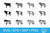 Animal Monogram SVG Bundle Animal Monogram SVG Bundle