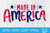 Made in America SVG Made in America SVG