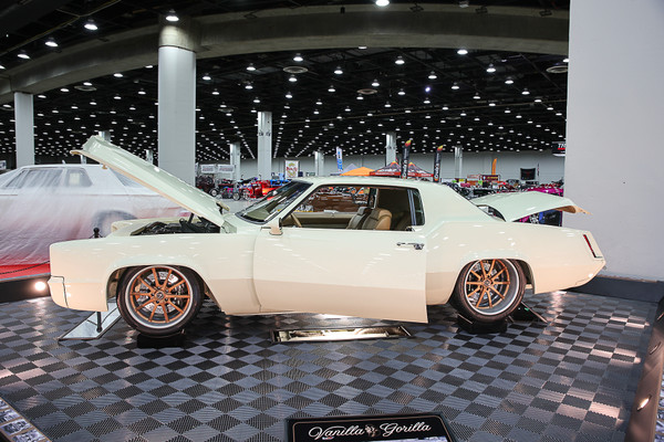 Vanilla Gorilla is King of the Jungle 