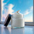 Spot Corrector Cream - Target Stubborn Imperfections