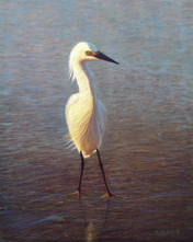 New Egg Tempera Painting: Spring Morning