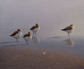 Sleeping Birds – Centers of Calm