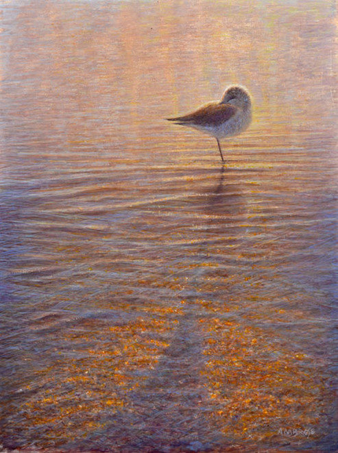 To Sleep, To Dream VII