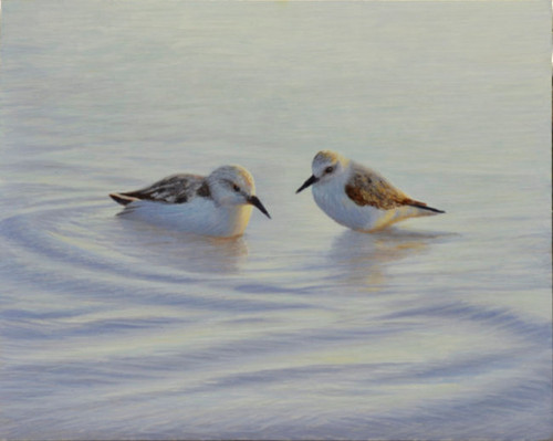 Morning Bath

Medium: Egg tempera on panel
Size: 8 x 10 in.

Location: Inquire at Cheryl Newby Gallery
(800) 435-2733